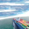 shipping agent from china to india freight forwarder sea shipping/morocco