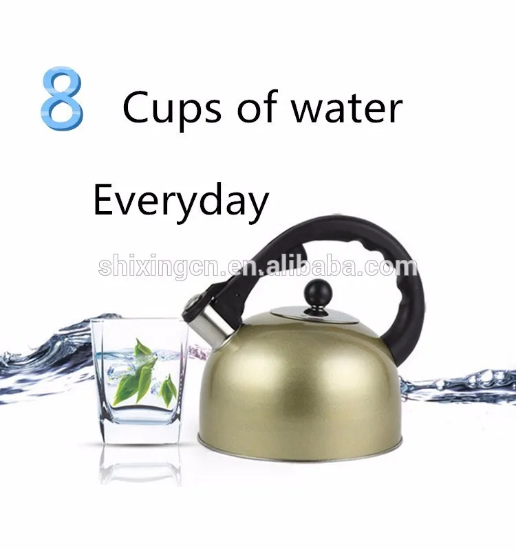 Bakelite Handle Stainless Steel Whistle Water Kettle Buy Water Kettle