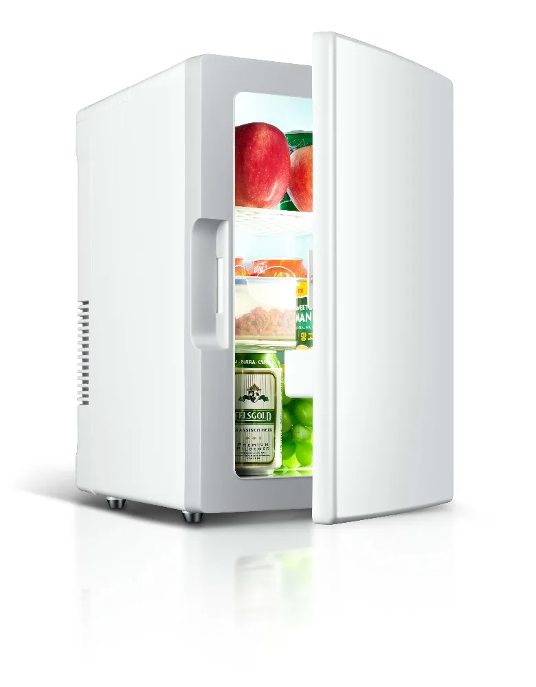 automobile refrigerator