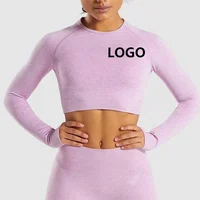 

Custom Logo Sports Yoga Wear Cropped Top Seamless Long Sleeve Gym Wear Wholesale