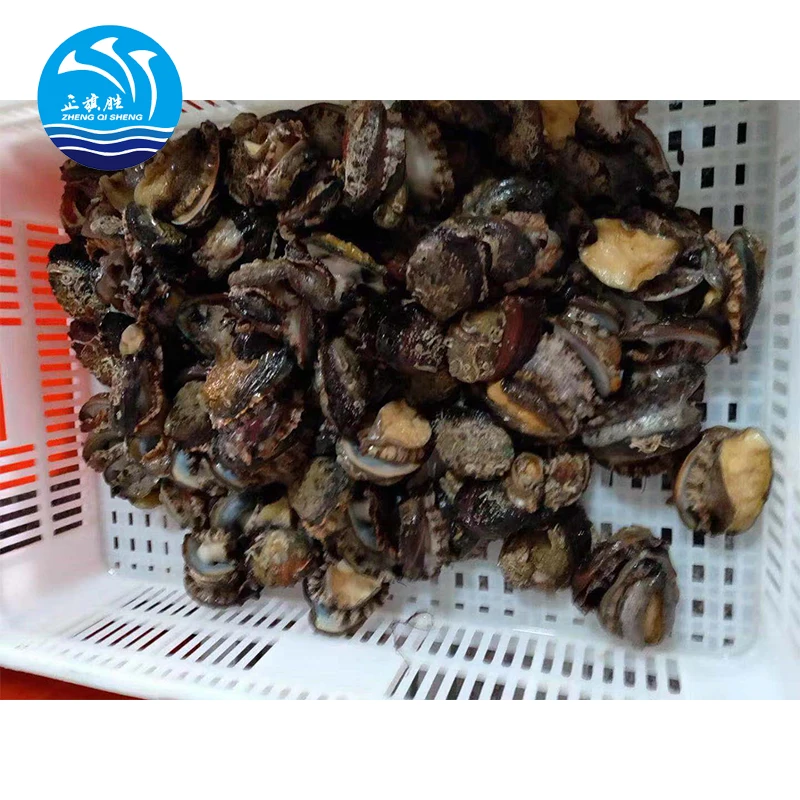 
frozen IQF abalone 