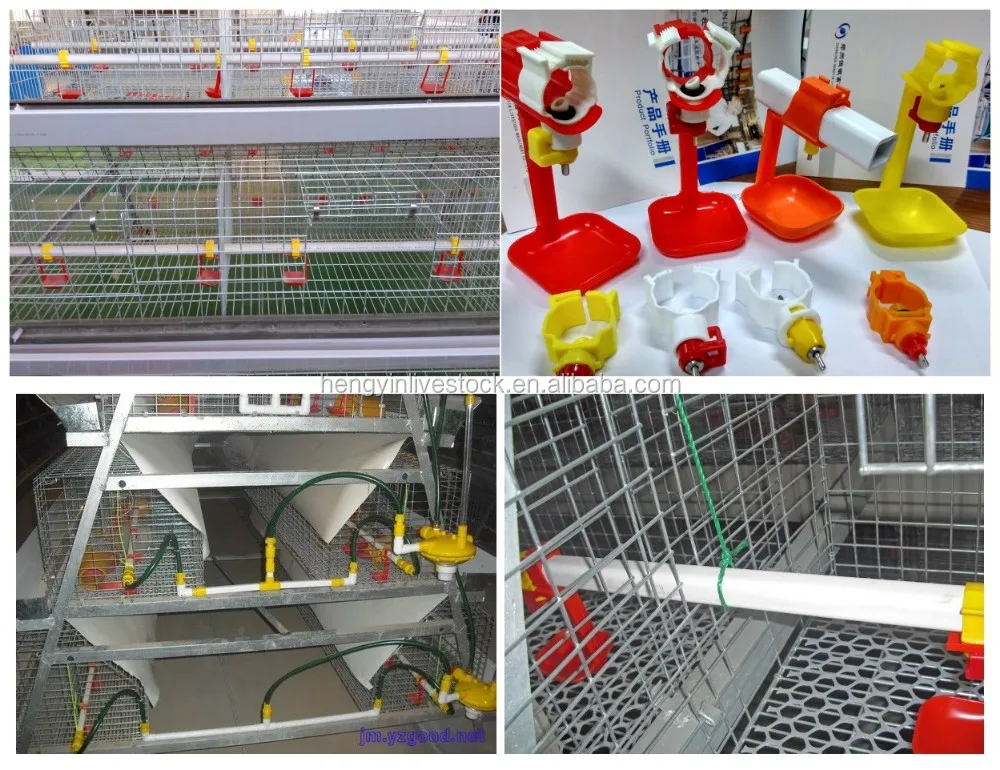 Chicken Breeding Cage/layer Egg Chicken Cage/poultry Farm House Design