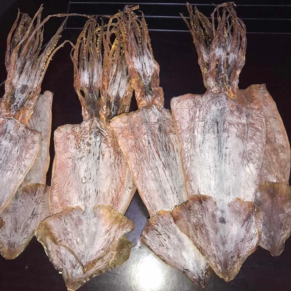 High Quality Good Sale Todarodes Squid Dry Squid, View dry squid, OEM Product Details from