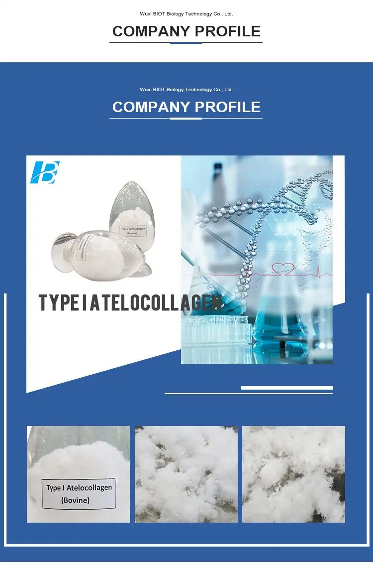 Type 1 Medical Grade Collagen Powder, View medical collagen powder