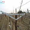 Practicable Beautiful Metal Vineyard Trellis Post From Real Factory