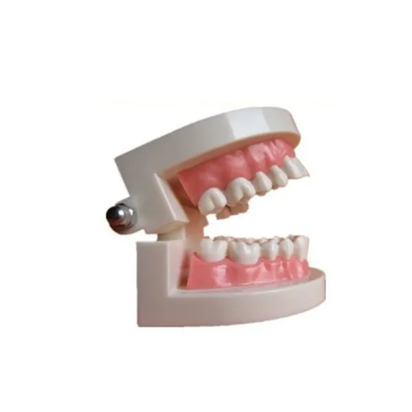 41vcIRpo61L._SL500_AA300_