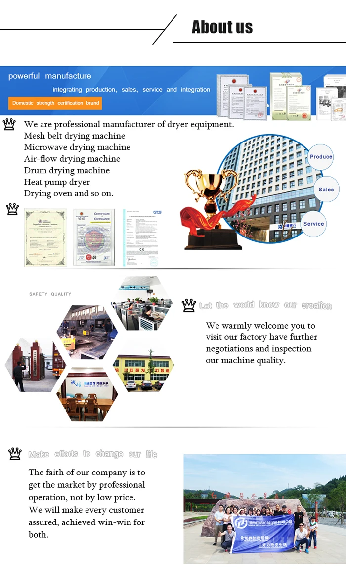 Professional Factory price easy operation crayfish moringa leaf potato chips drying machine