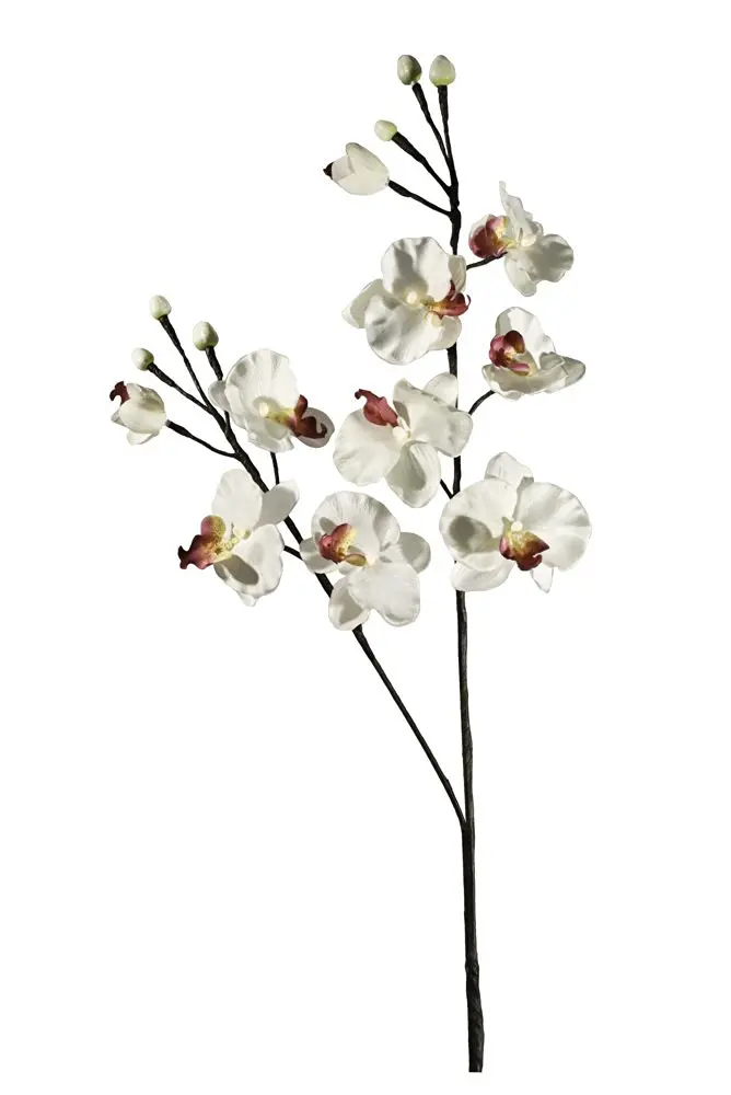 Cheap Lighted Floral Stems, find Lighted Floral Stems deals on line at