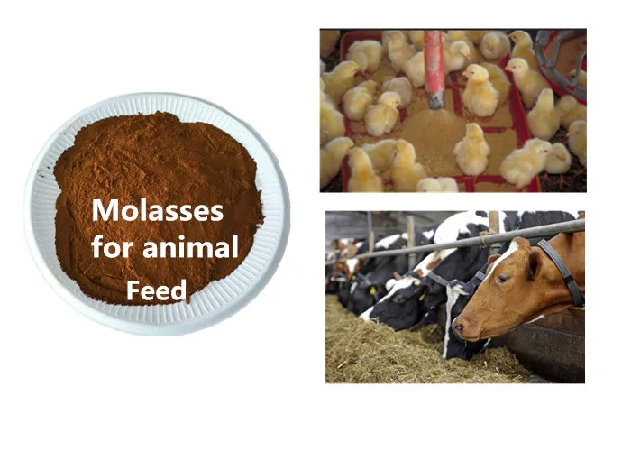 Fertilizer & Feed Additives Molasses Powder Buy Molasses,Feed