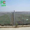 Hdpe Agriculture 50 mesh Anti-Insect Net/insect proof net / anti insect protection net