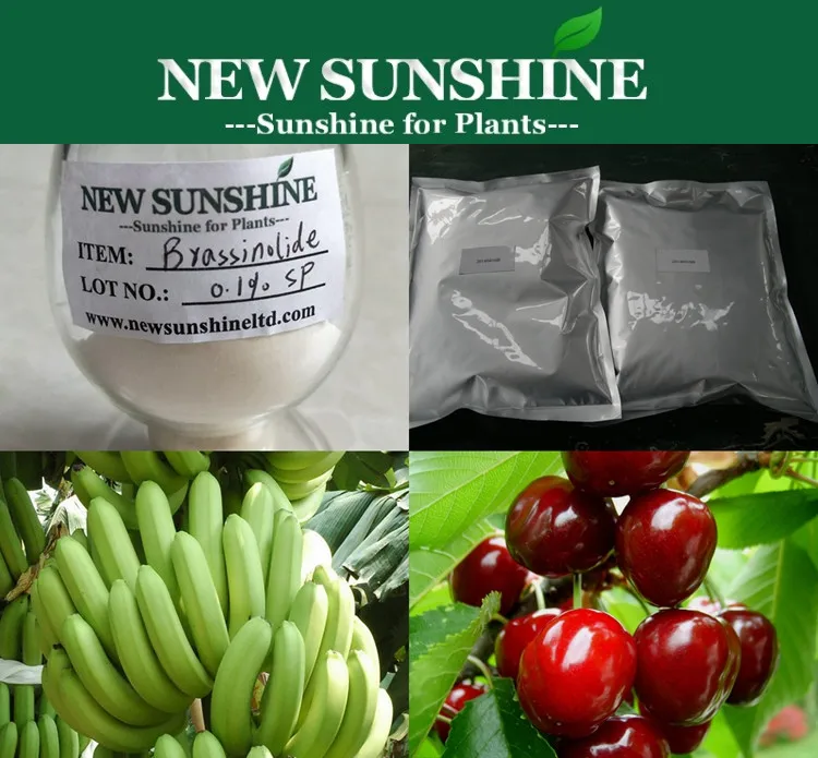 Brassinolide 1-1_.jpg