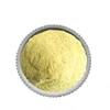 Phototropic bacteria photosynthetic bacteria