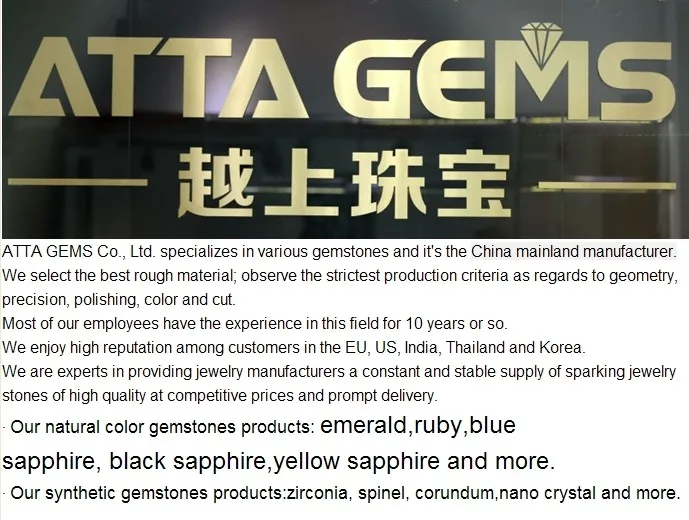company information.jpg