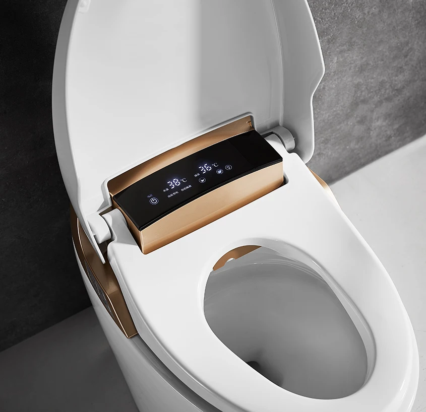 2019 Latest Tankless WC Intelligent Smart Toilet ZJZ-1300