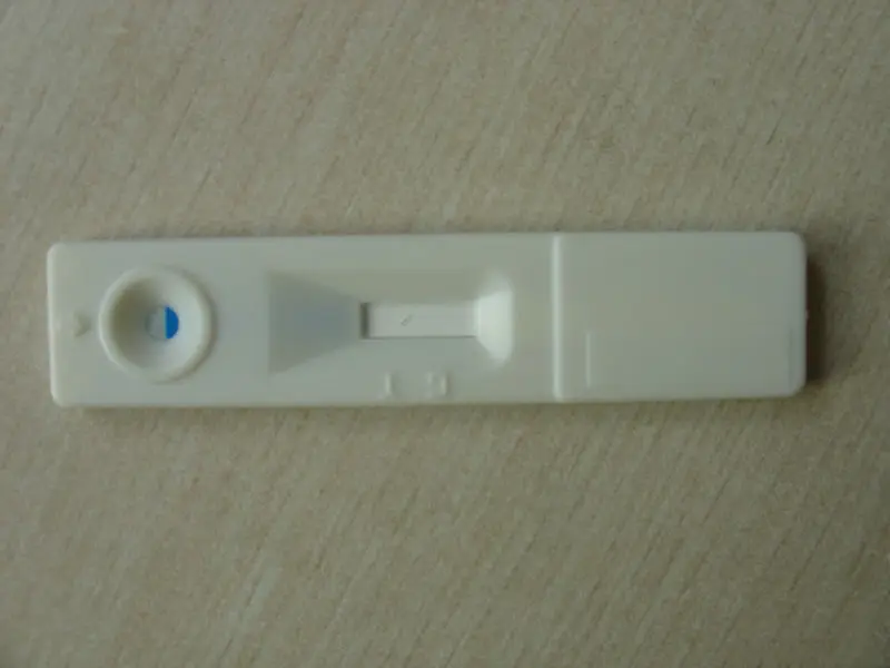 HCG5