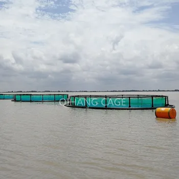 Agricultural Fish Cage For Sea Bass/sea Bream/grouper Fish Farming ...