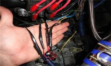 HTB1ELvpIVXXXXcbXXXXq6xXFXXX7.jpg_350x350