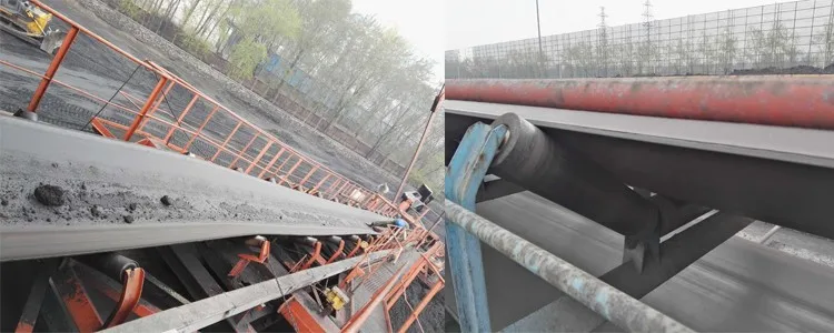 self cleaning conveyor roller.jpg
