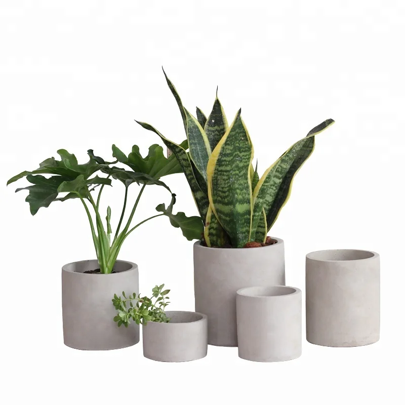 

Round cylinder shape cement flower pot with saucer green plant pot for home decoration, Original cement color