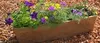 Coir Pots