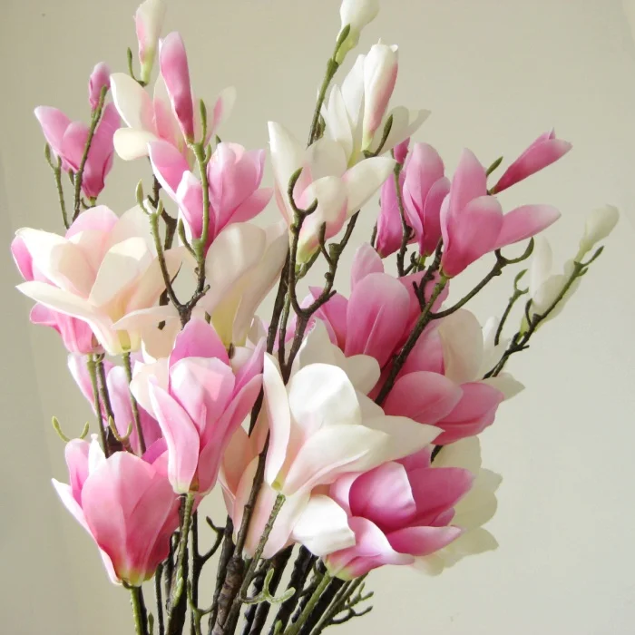 Магнолия букет живой. Букет с магнолией. Магнолия цветы букет. Букет из магнолий. Магнолия срезка.