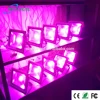 Shenzhen led lighting hydroponics apollo 50w 100w 200w 300w 400w 500w horticulture led grow light