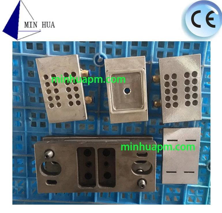 Mold MH.jpg