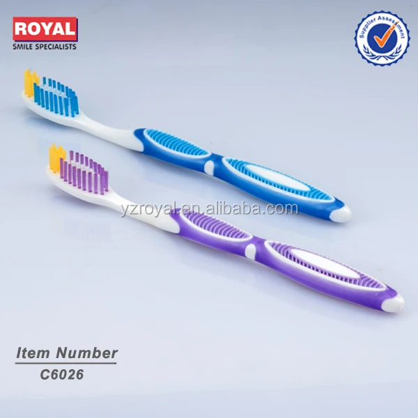 refillable toothbrush