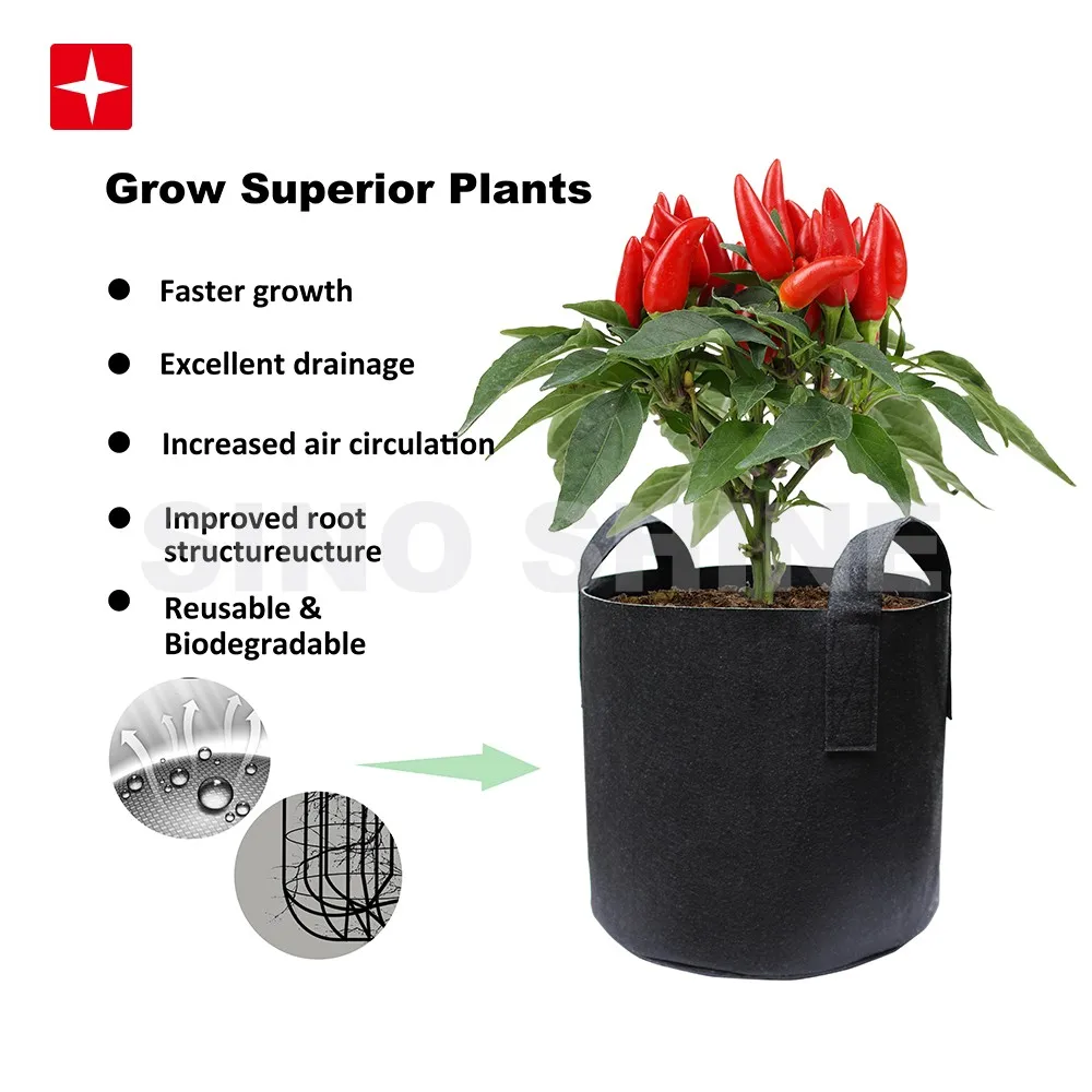 gallon felt grow bag amazon hot sale bucket home garden plant