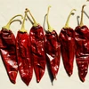 Dry Sweet Red Pepper /Dried Sweet Paprika Pods