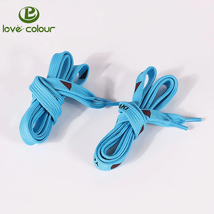 shoelace18