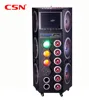 2019 New Products Professional Blue tooth Speaker with FM Radio Disco Lights DVD Player
