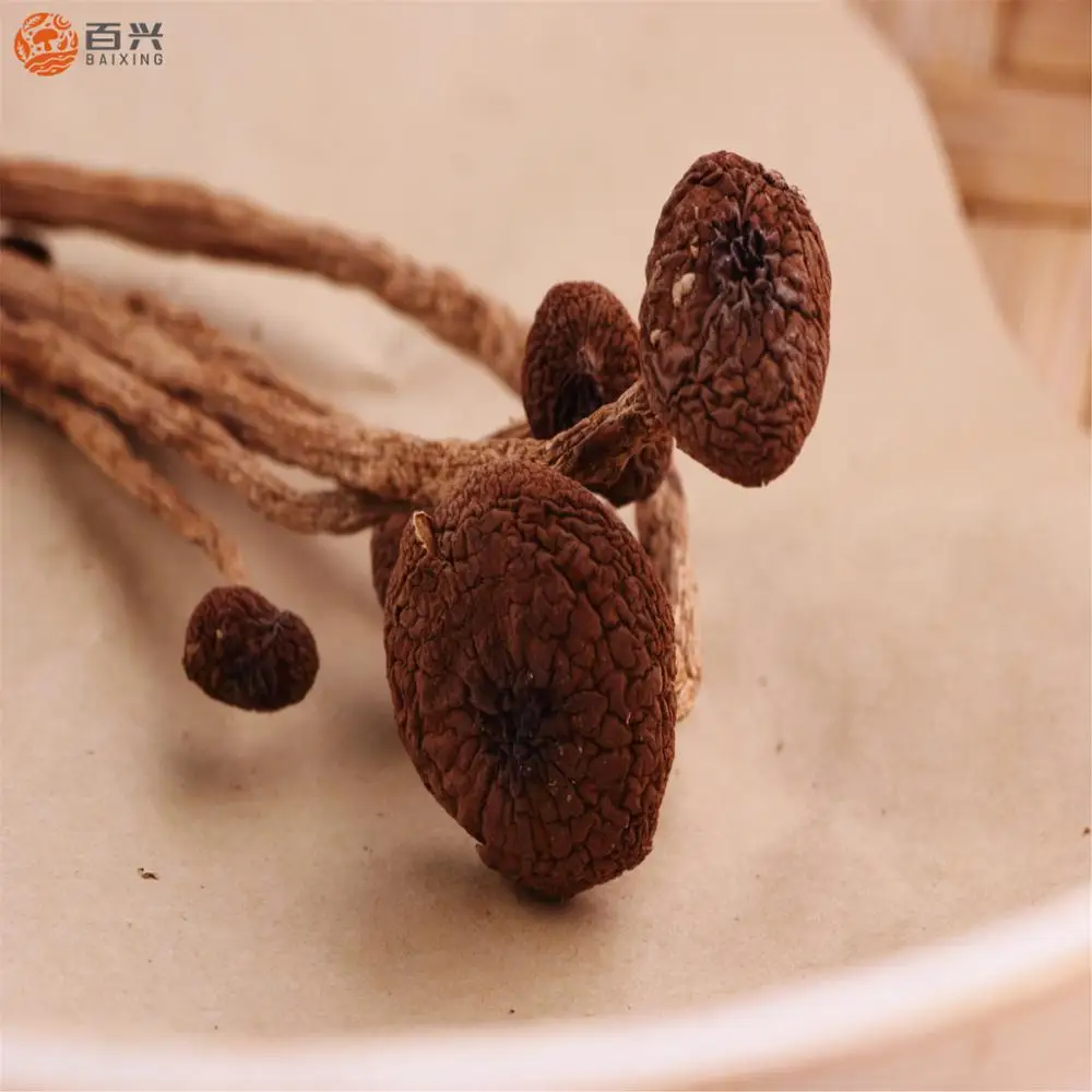 
High Performance Dried Agrocybe Cylindracea 