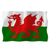 China Factory Direct Sales Wholesale Printing 3x5 Polyester Fabric Custom China Flag Maker