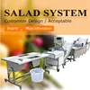 Vegetable Production Line/Vegetable Washing Line/Salad Processing System