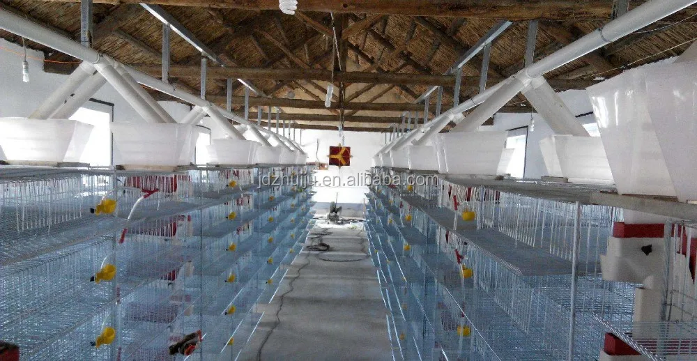 Automatic Quail Farm Cage Design Quail Layer Cage For Quail Farming Hj