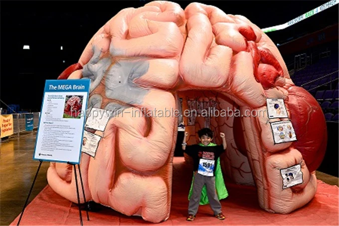 inflatable brain3.jpg