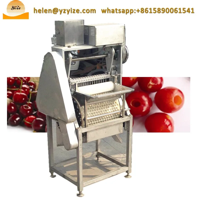 Tomato Cherry Seed Extracting Removing Machine Extraction Machine For Watermelon Seeds Buy