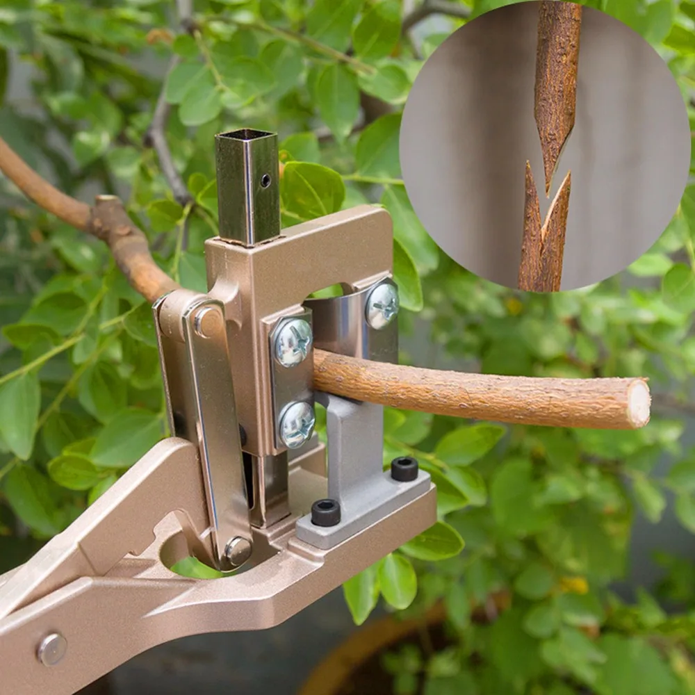 grafting machine (15).jpg