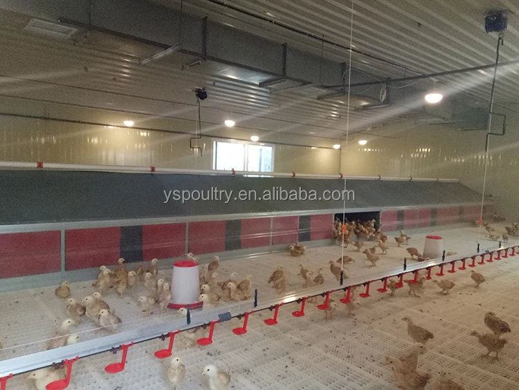 floor feeding (1).jpg