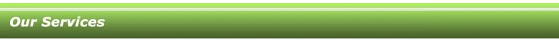 Our Services.jpg