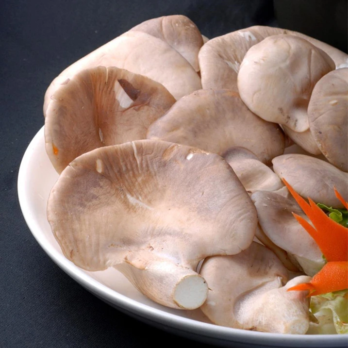 market prices of canned abalone mushroom, View canned abalone mushroom