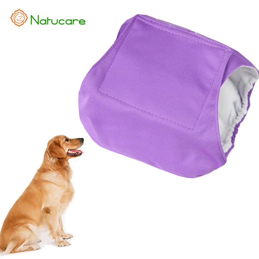 period nappies for dogs