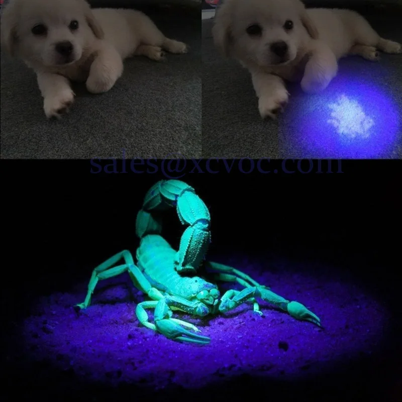 Perros y Gatos Lámpara UV para Inspección de Agentes Fluorescentes Detector de orina para Mascotas Youyababay Linterna luz Negra 2 en 1 Luz UV con 365nm Impermeable 