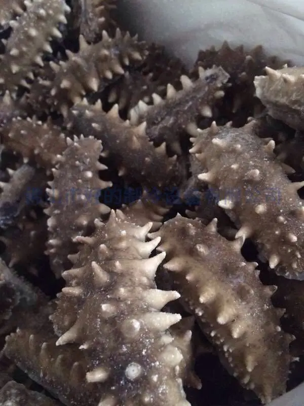 70 Degree Deep Freezer Individual Quick Freezer Super Fast Freezer For