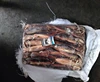 illex squid new stock, jigger catch illex squid, FAO 41 argentina squid