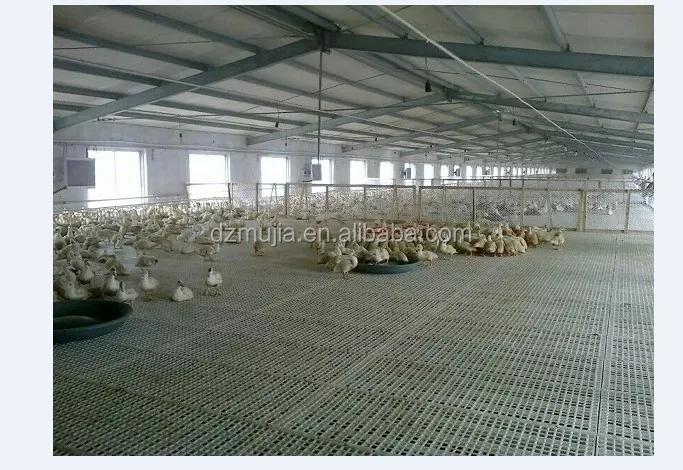 
Wholesale manufacture chicken farming Plastic slatted floor chicken slat floor for sale 