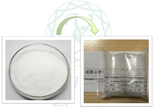 paste-pic-dp_uuid_uoybp