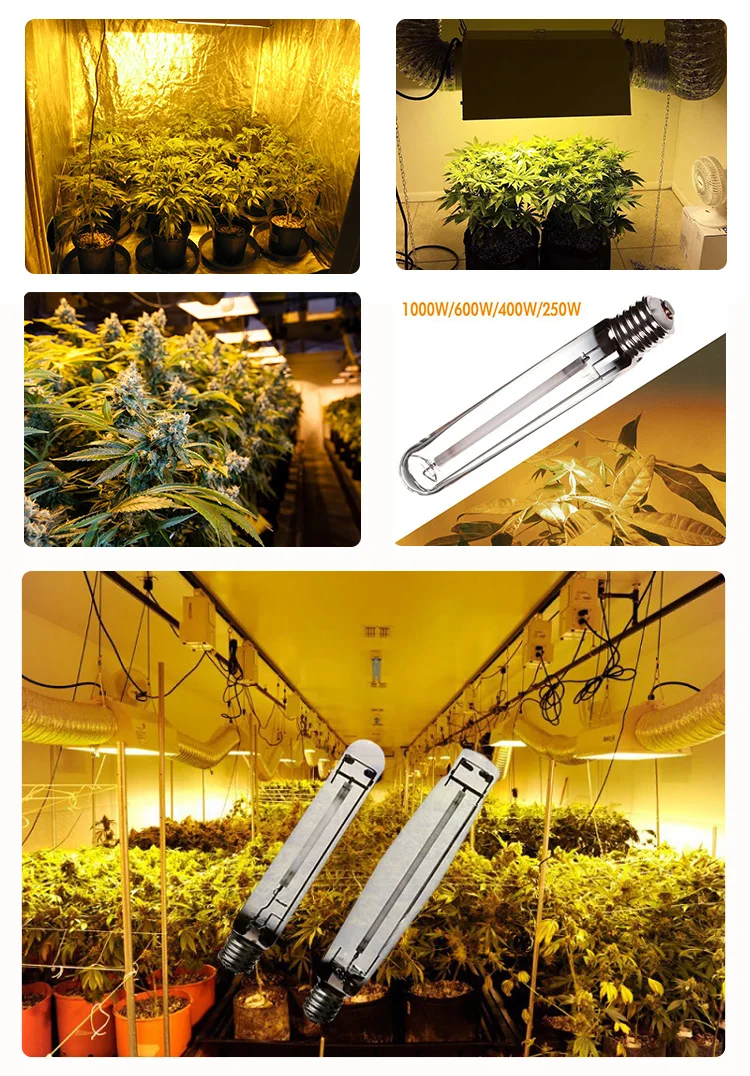 Horticulture Replacement Bulbs 400w 600w 1000 1200 Watt Hps Grow Light