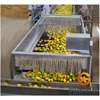 What machine make mango pulp manufacturing process